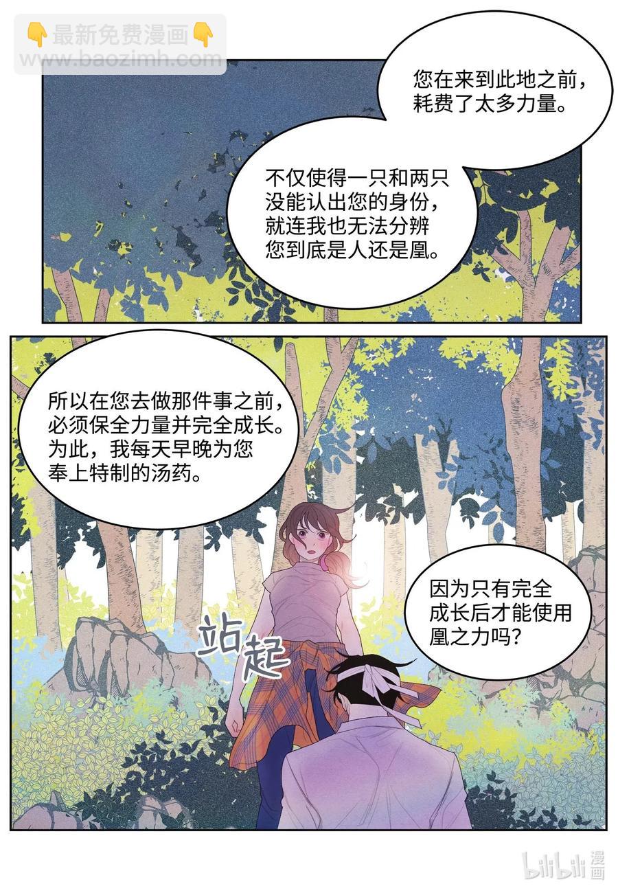 《凤凰爱史》16 承诺 第29页