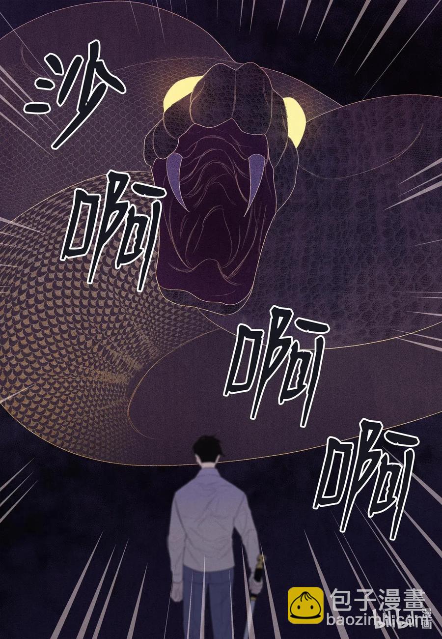 《凤凰爱史》19 爷与巨蟒 第29页