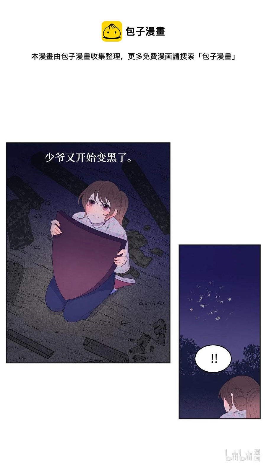 《凤凰爱史》30 计划 第11页