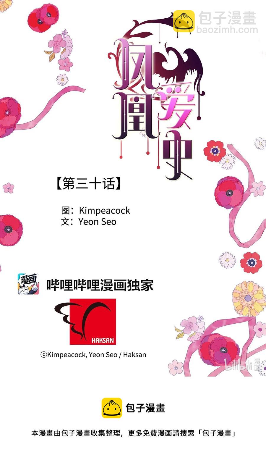 《凤凰爱史》30 计划 第35页