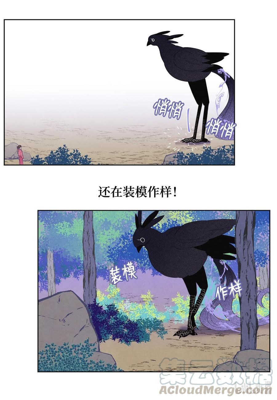 《凤凰爱史》35 少爷的身体是我的？ 第13页