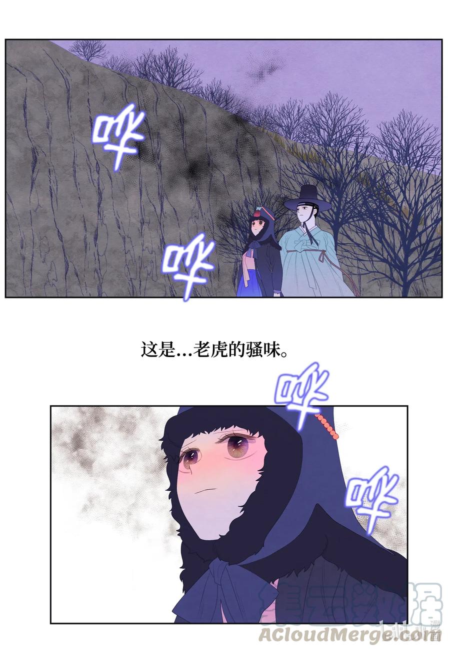 《凤凰爱史》49 寻找老虎 第33页