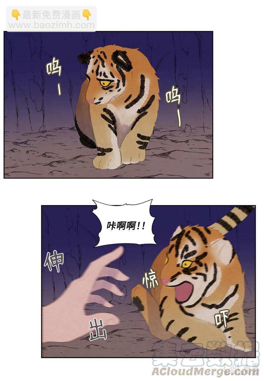 《凤凰爱史》53 少女与老虎 第13页