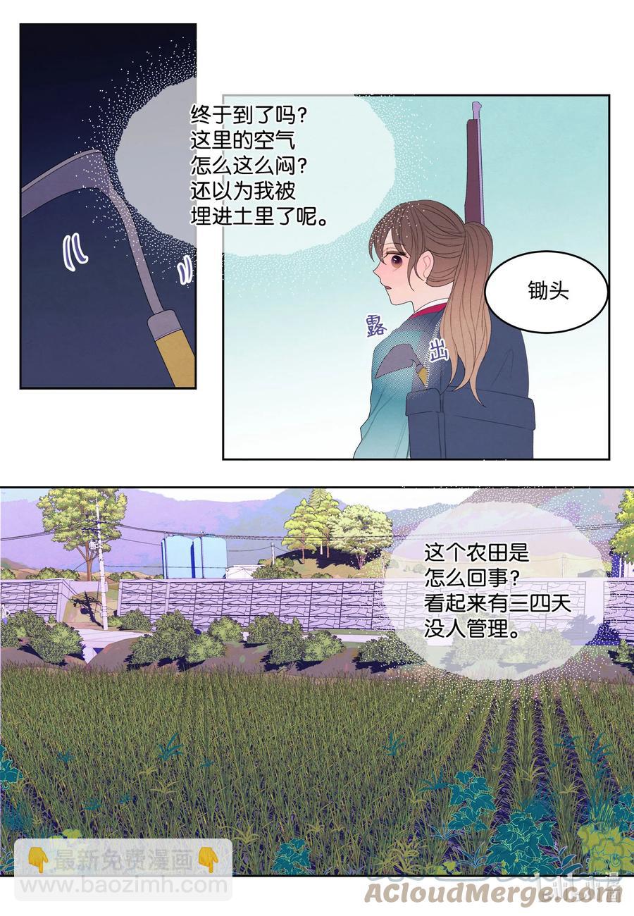《凤凰爱史》75 抵达 第29页
