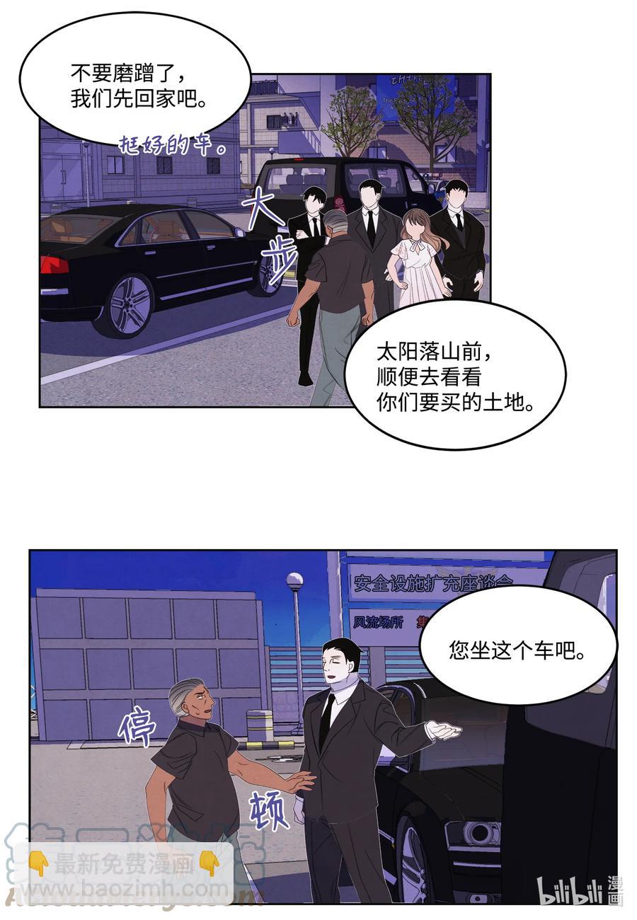 《凤凰爱史》87 接洽 第39页