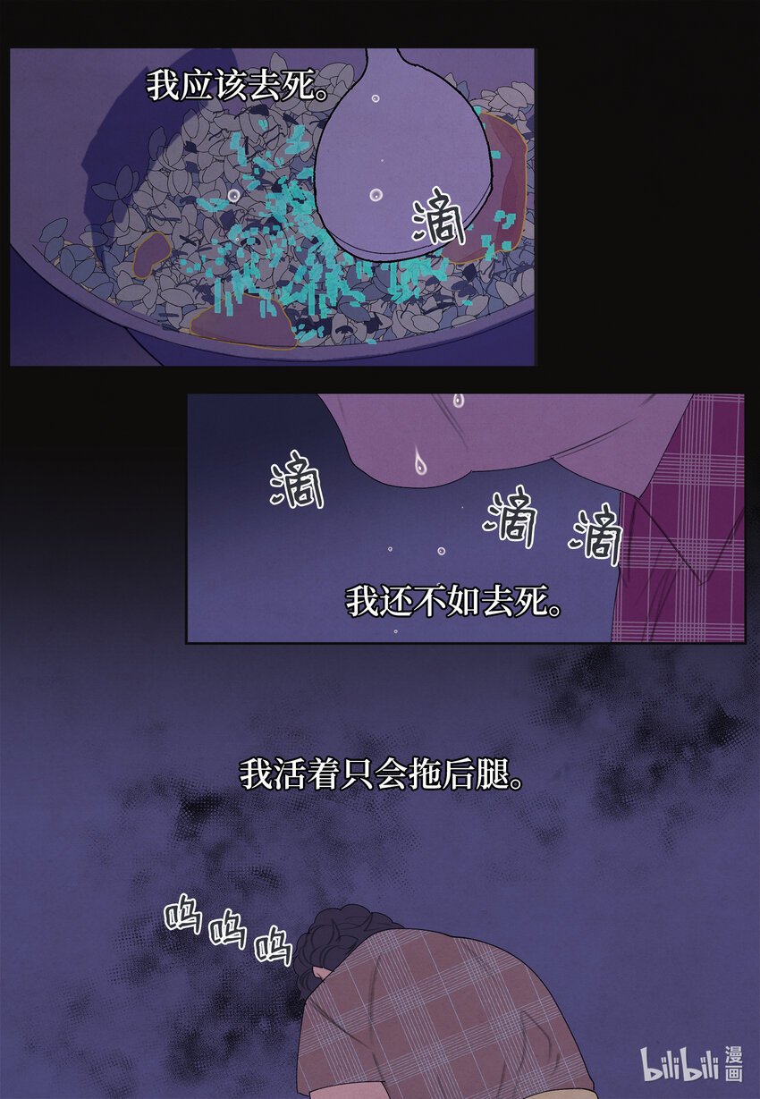 《凤凰爱史》99 命债命还 第15页