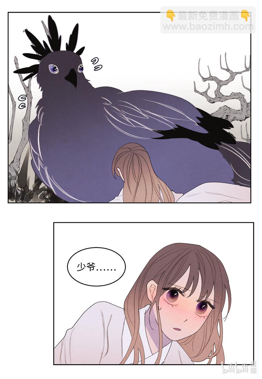 《凤凰爱史》112 似梦非梦 第17页