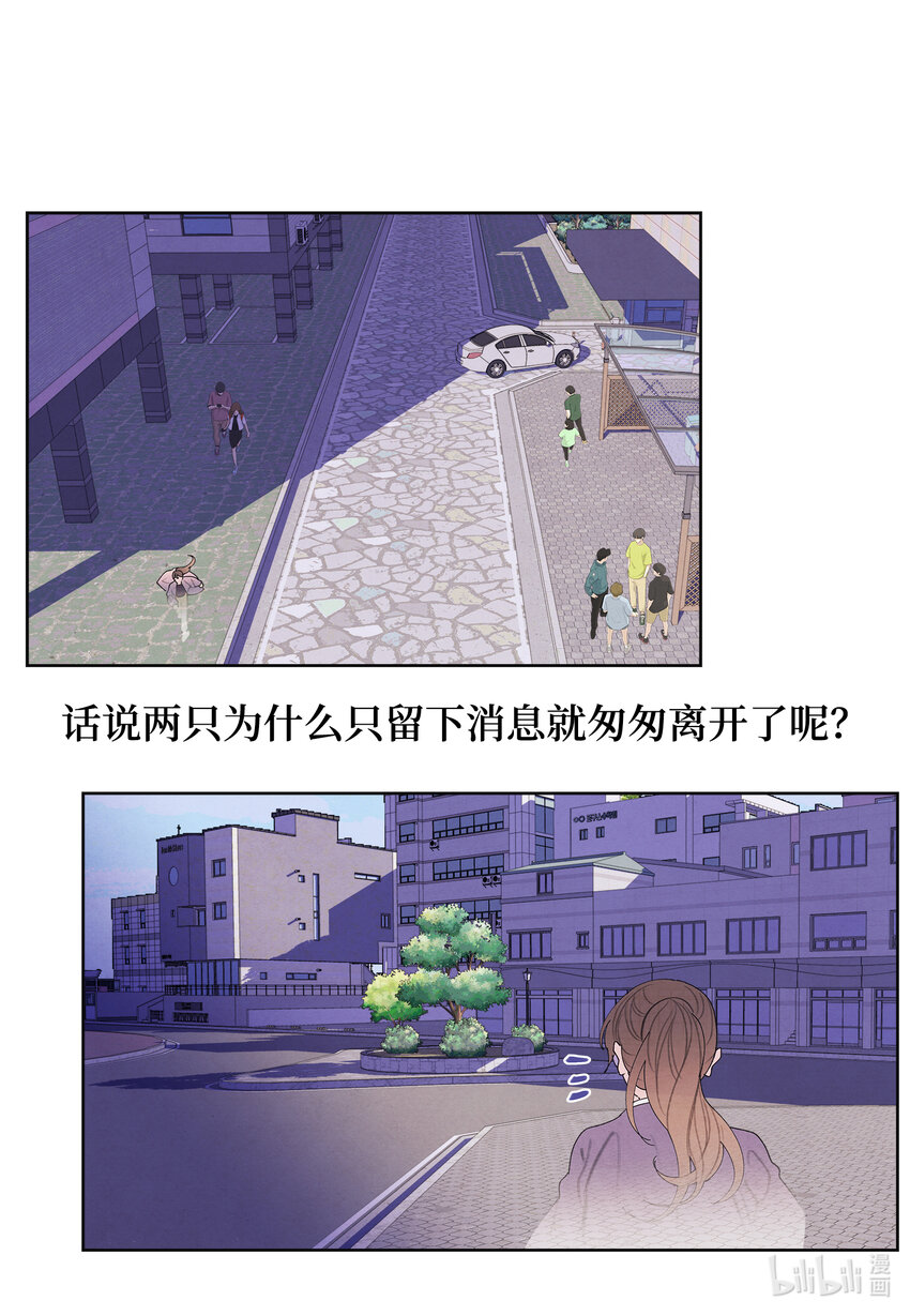 《凤凰爱史》114 之太的阴谋 第13页