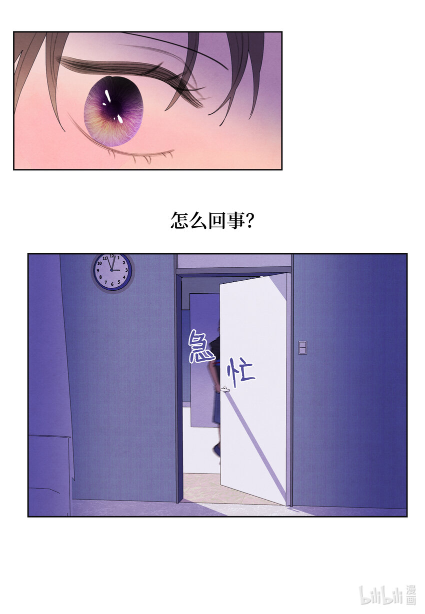 《凤凰爱史》113 哥哥的朋友 第30页