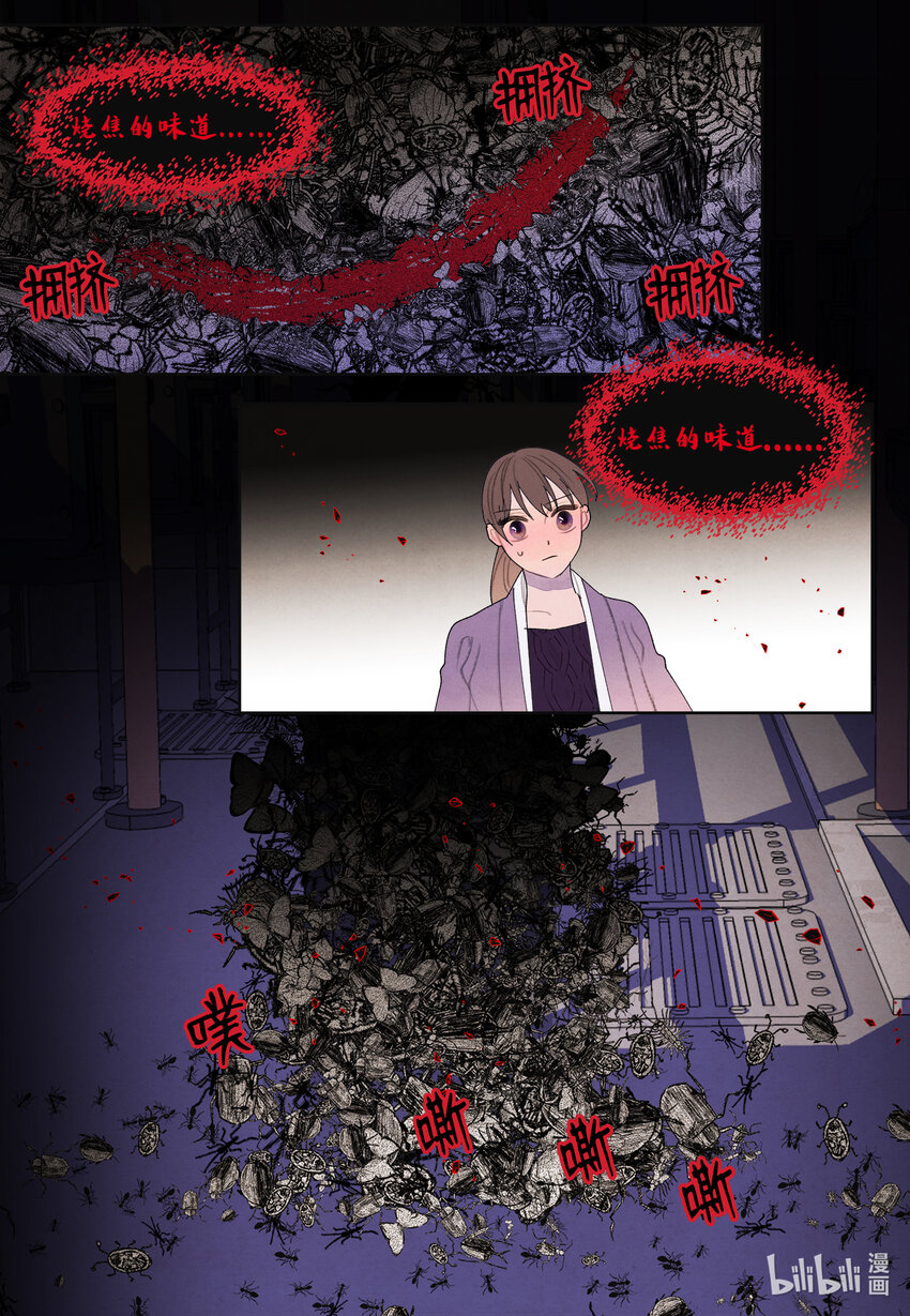 《凤凰爱史》115 夺命追击 第12页