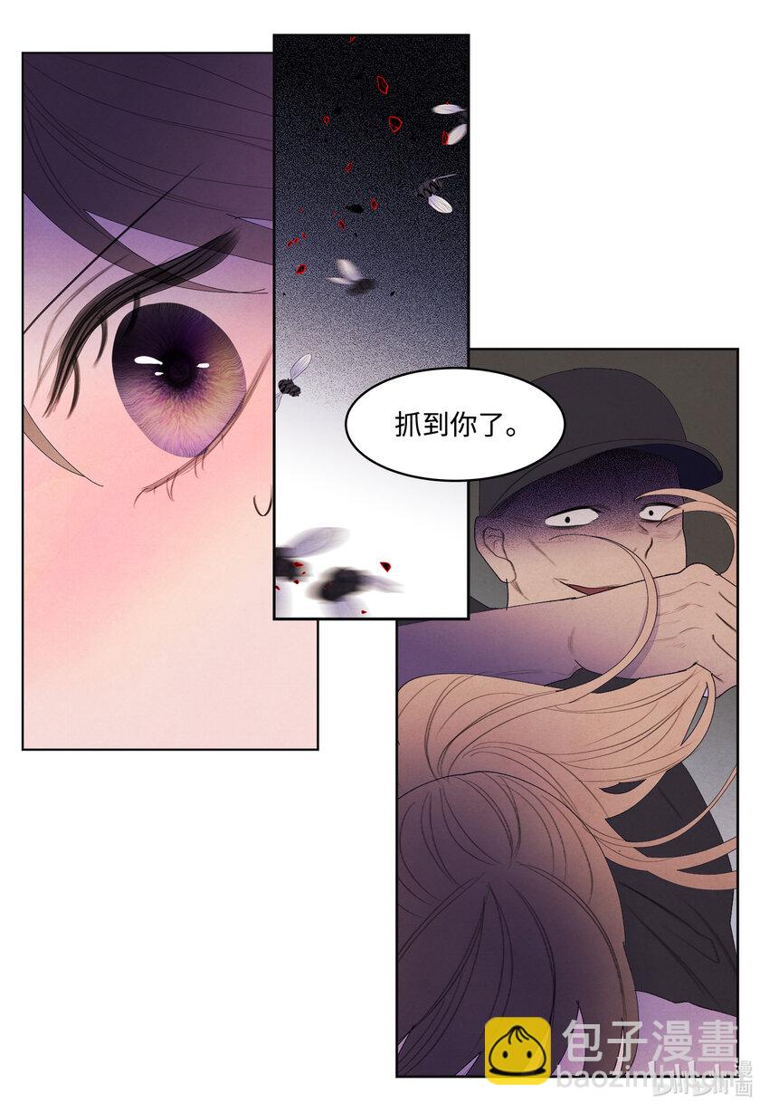 《凤凰爱史》115 夺命追击 第18页