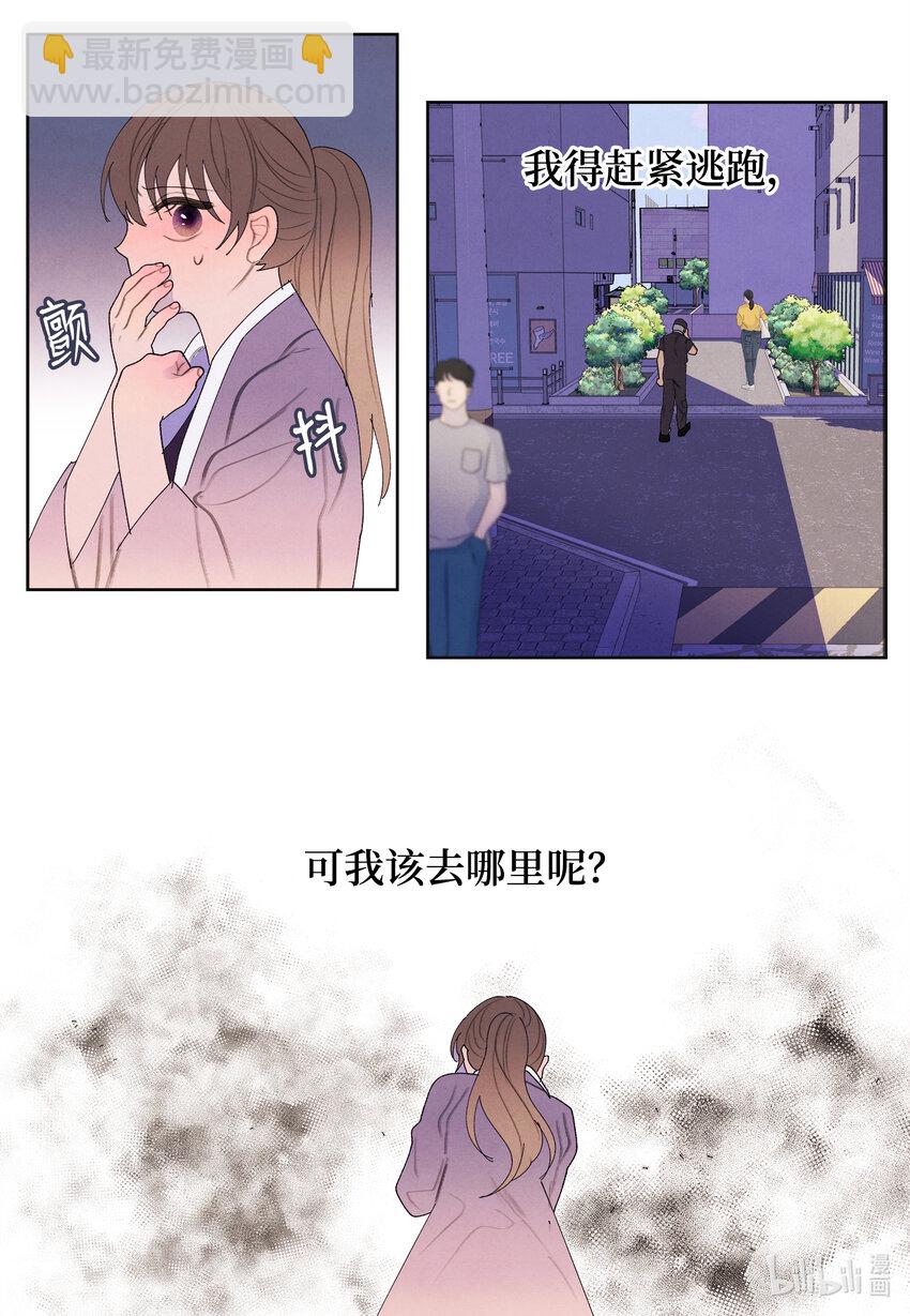《凤凰爱史》115 夺命追击 第7页