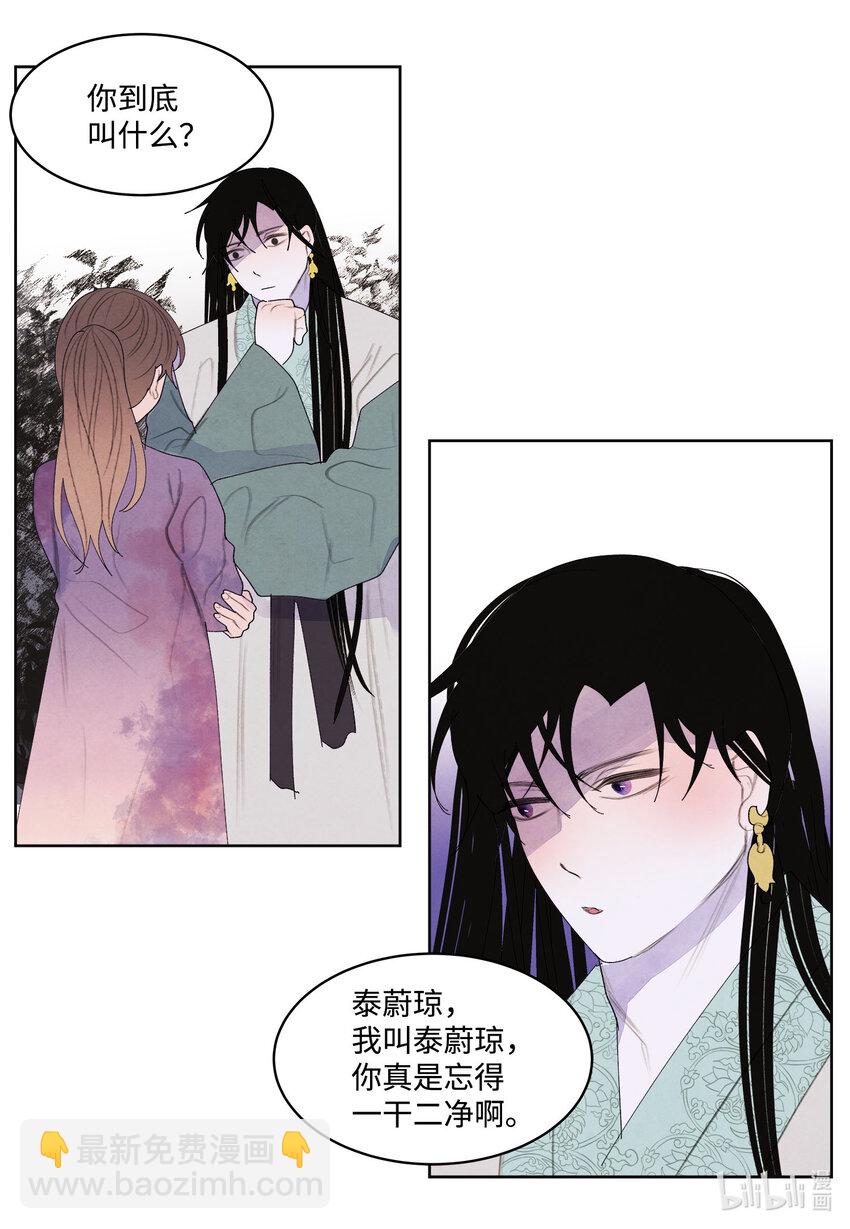 《凤凰爱史》119 前代凤 第13页