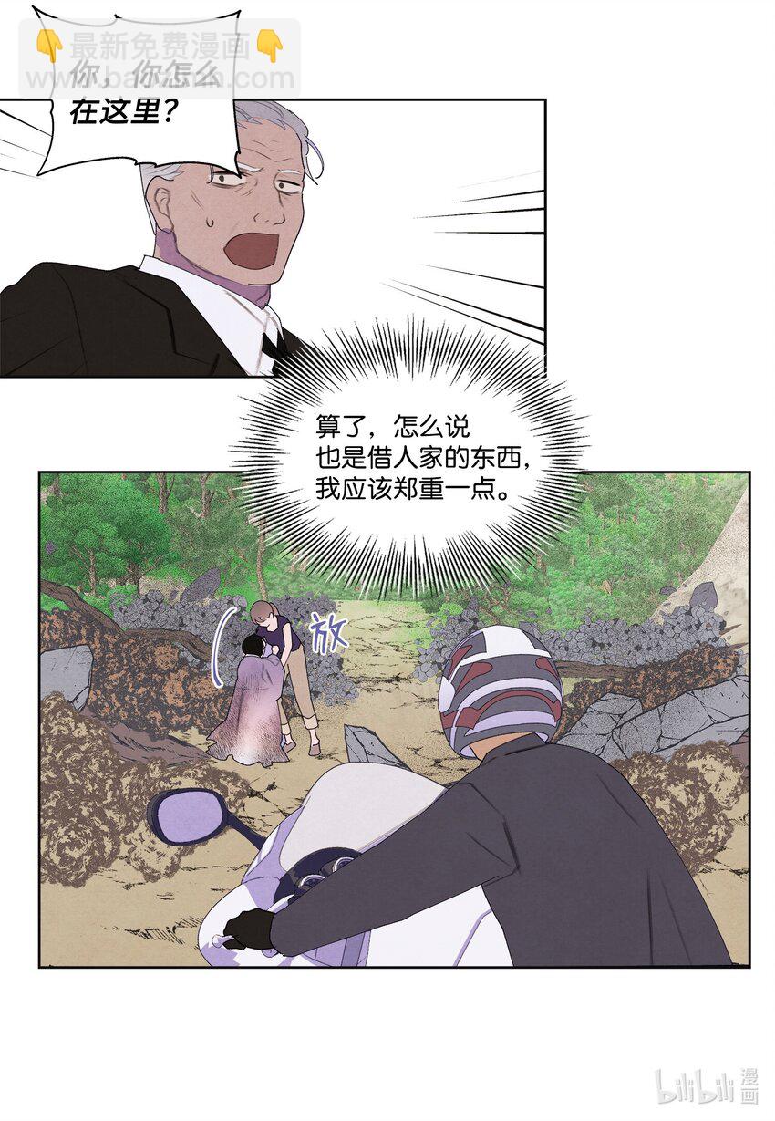 《凤凰爱史》130 下山 第43页
