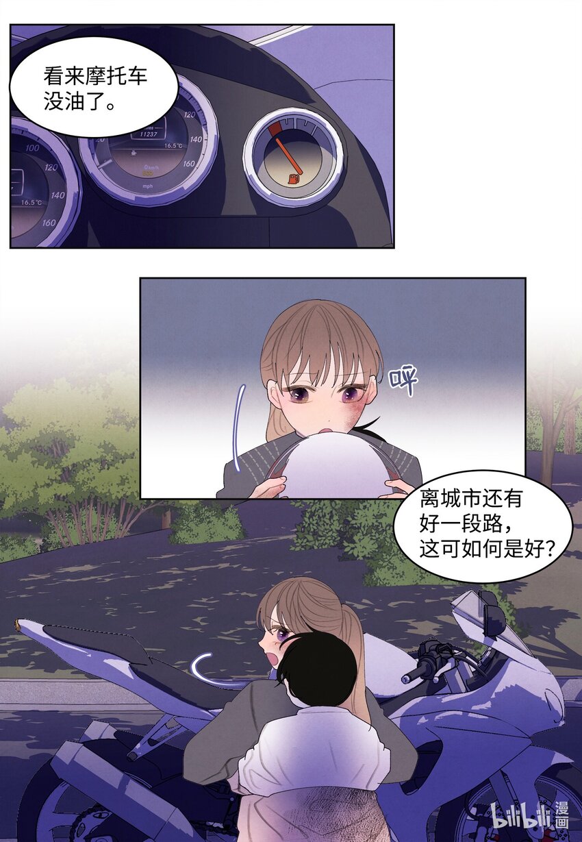 《凤凰爱史》132 进城之路 第29页