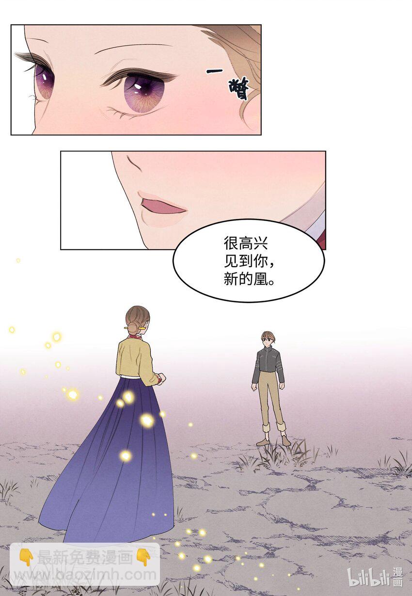 《凤凰爱史》149 最初的因果 第40页