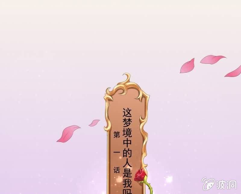 《这个大叔太冷傲》这梦境中的人是我吗 第1页