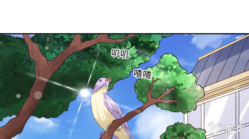 《这个大叔太冷傲》订婚仪式！ 第1页