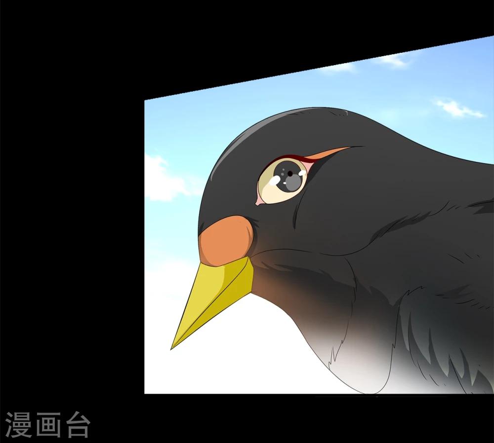 《洛小妖》第205话 玄鸟2 第8页