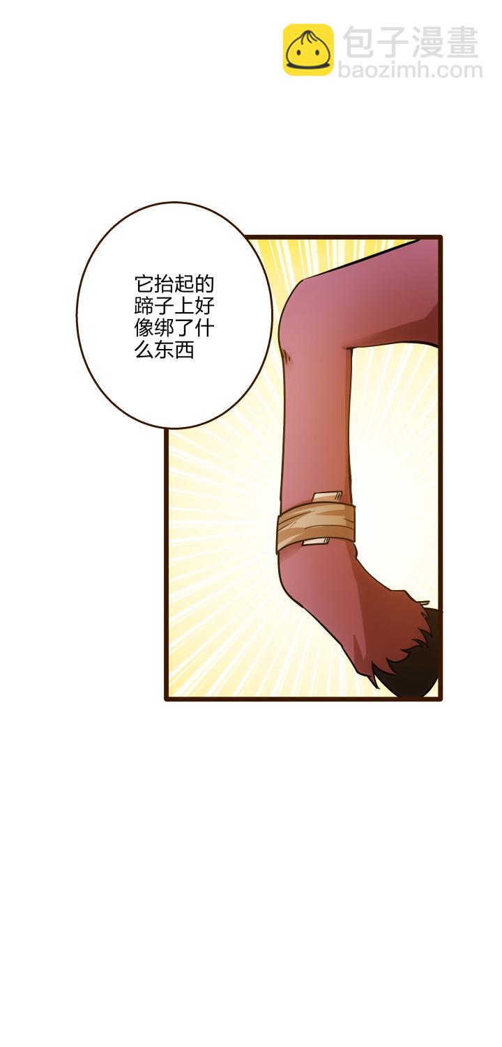 《妃哥传》35 后手 第17页