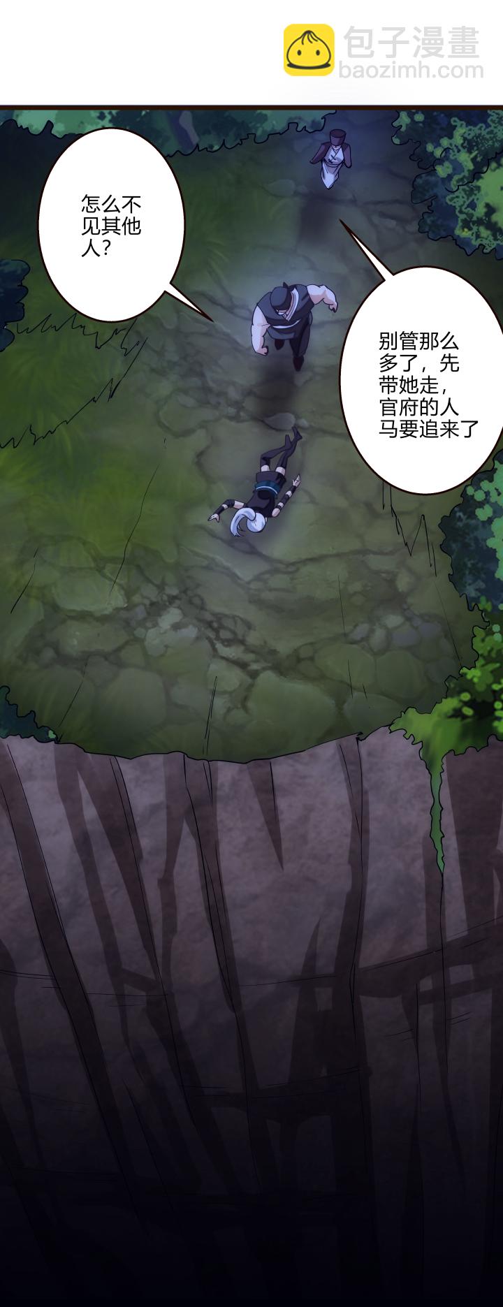 《妃哥传》39 坠崖 第14页