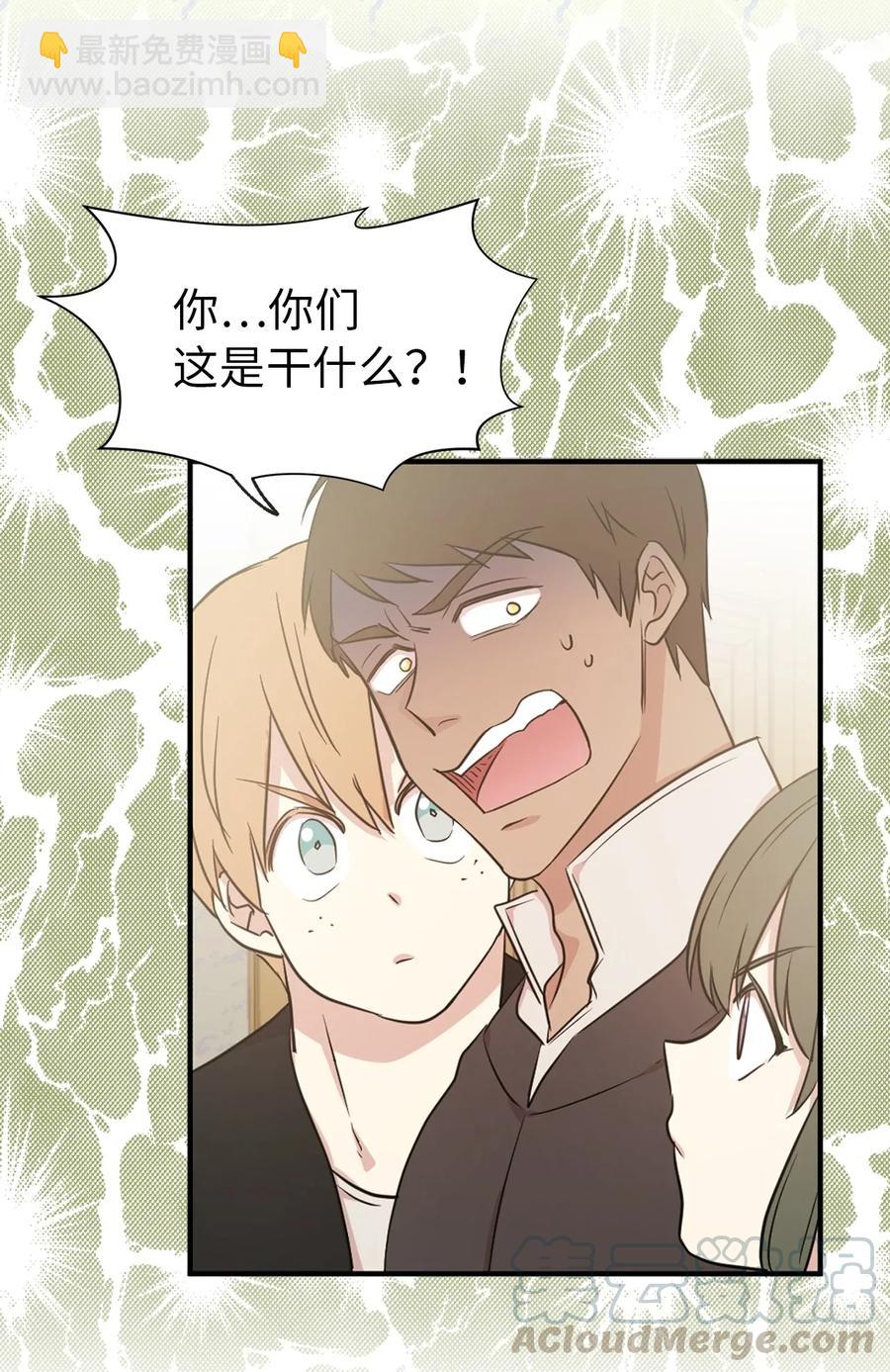 《娶个公爵当皇后》13 收服人心的实力 第13页
