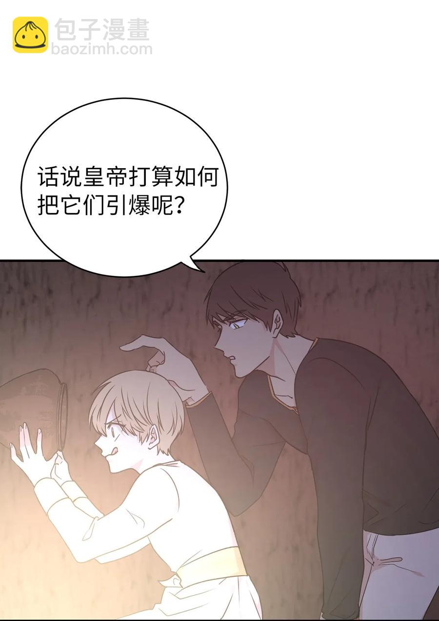《娶个公爵当皇后》41 皇帝的炸弹 第19页