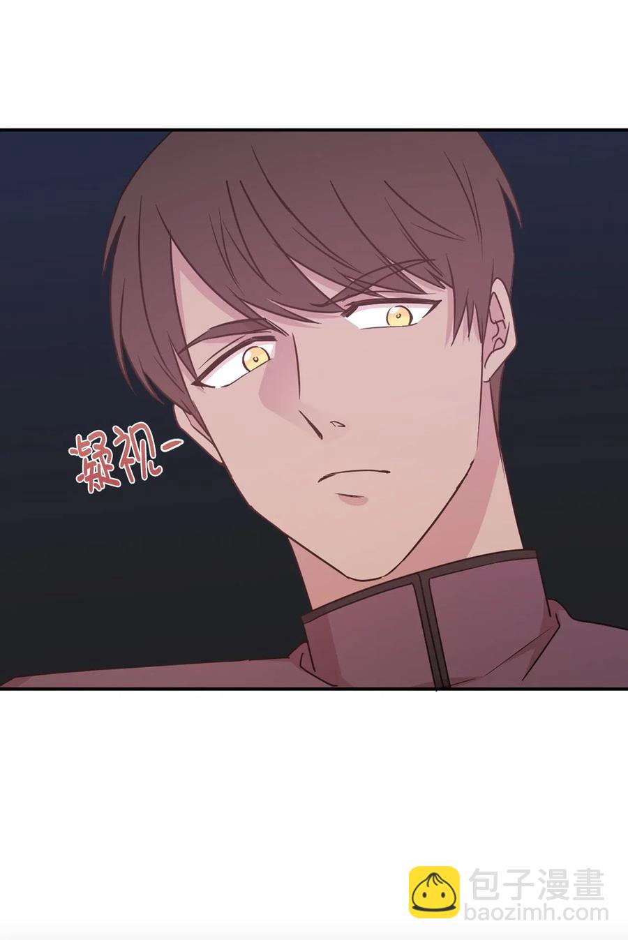 《娶个公爵当皇后》46 如果我离开，你会怎么想？ 第27页