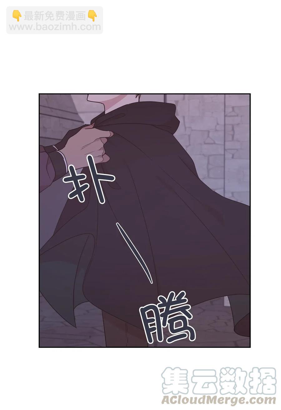 《娶个公爵当皇后》58 消失的那三年 第13页