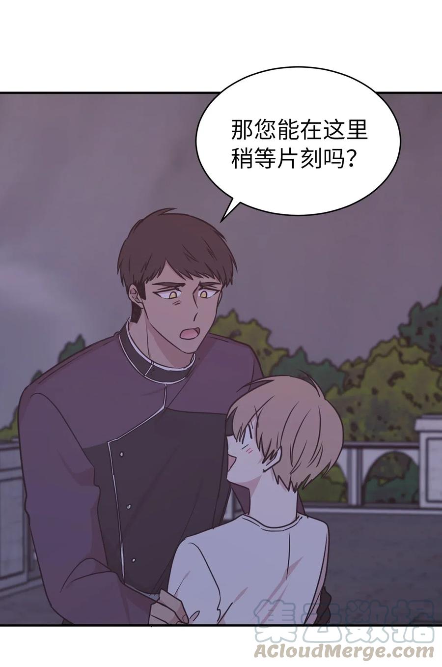 《娶个公爵当皇后》58 消失的那三年 第9页