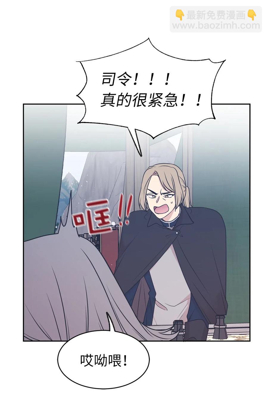 《娶个公爵当皇后》71 卡洛斯城的神秘能人 第12页