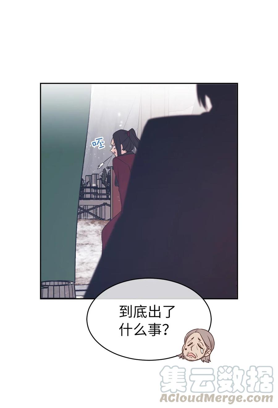 《娶个公爵当皇后》71 卡洛斯城的神秘能人 第13页