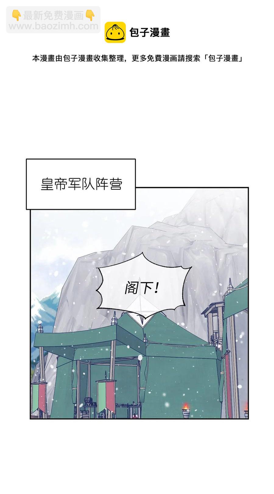 《娶个公爵当皇后》71 卡洛斯城的神秘能人 第9页