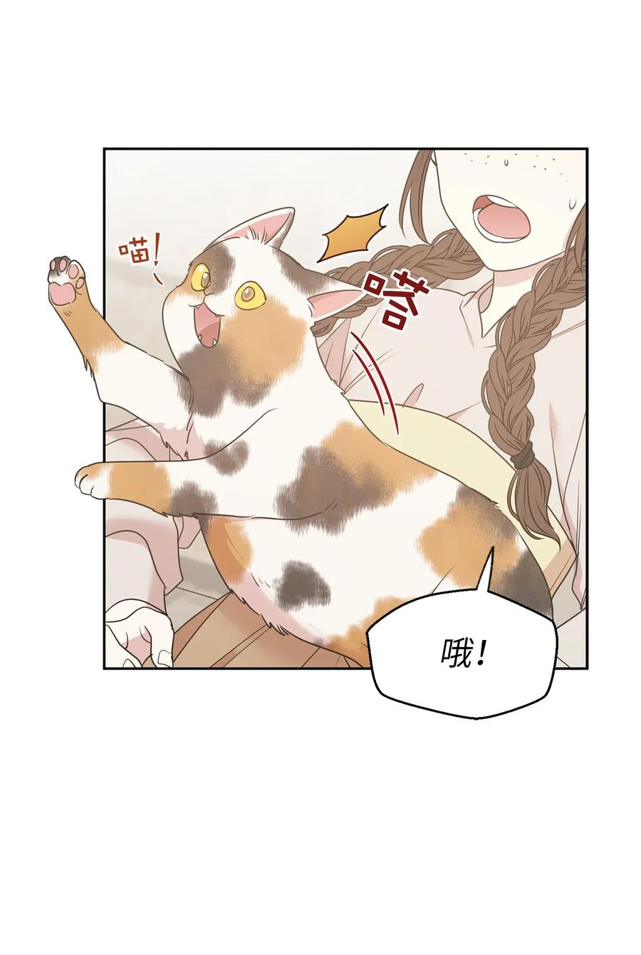 《娶个公爵当皇后》75 走向小说的第二部 第47页
