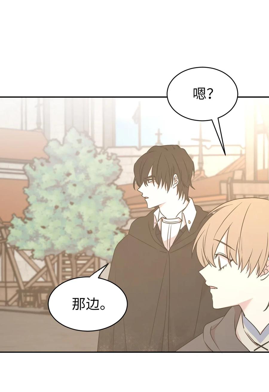 《娶个公爵当皇后》76 入城途中默默准备计划 第11页