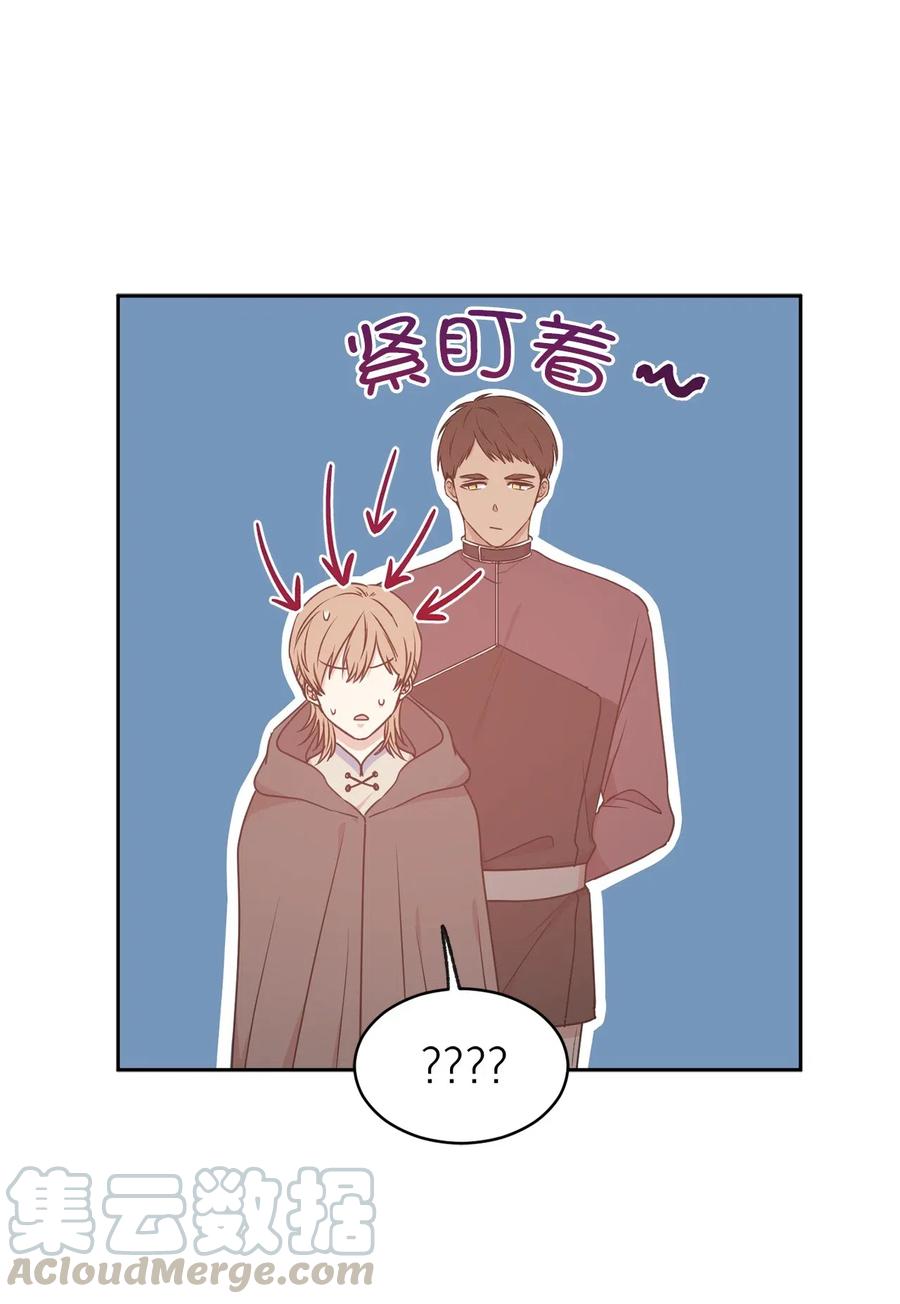 《娶个公爵当皇后》76 入城途中默默准备计划 第34页