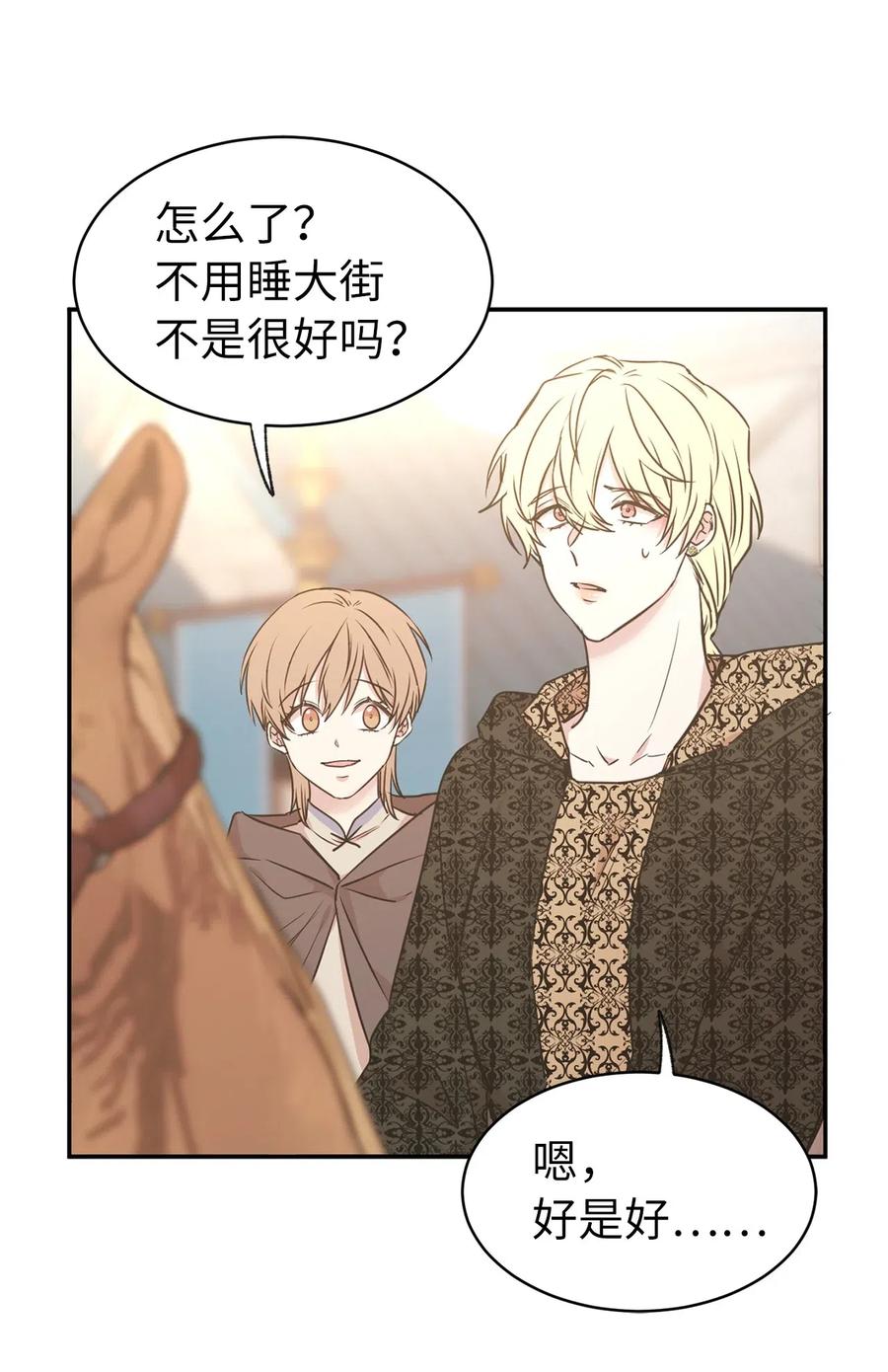 《娶个公爵当皇后》76 入城途中默默准备计划 第47页