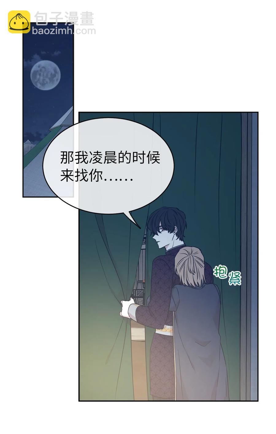 《娶个公爵当皇后》85 深夜遇袭 第38页
