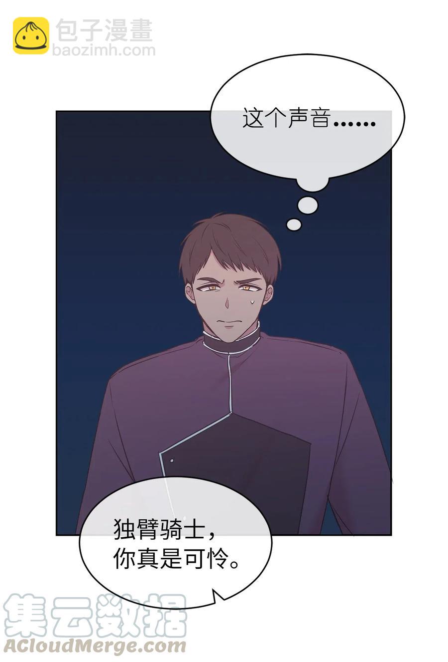 《娶个公爵当皇后》84 春宵一度的夜晚 第43页