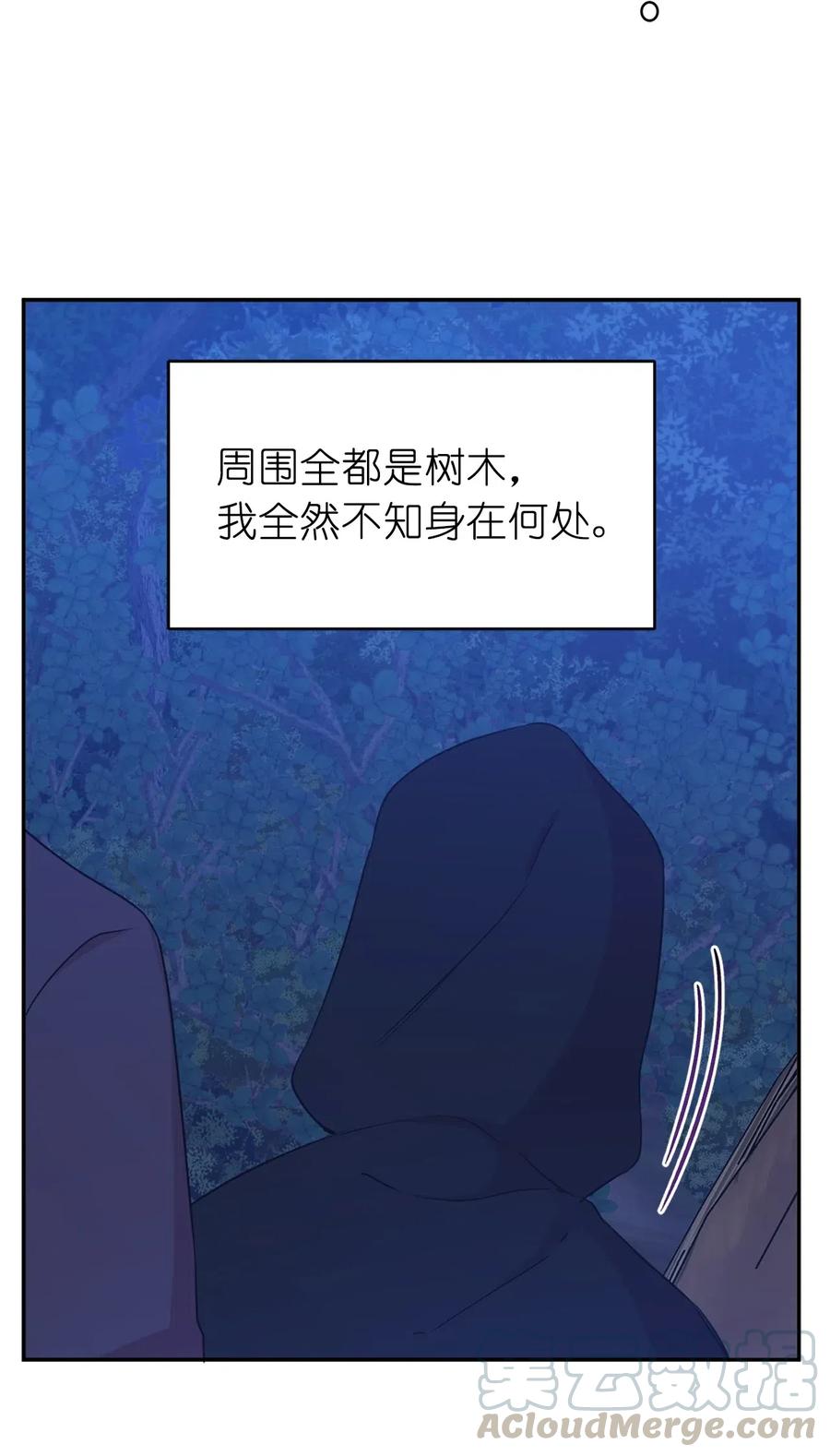 《娶个公爵当皇后》89 我必须尽快逃走 第43页