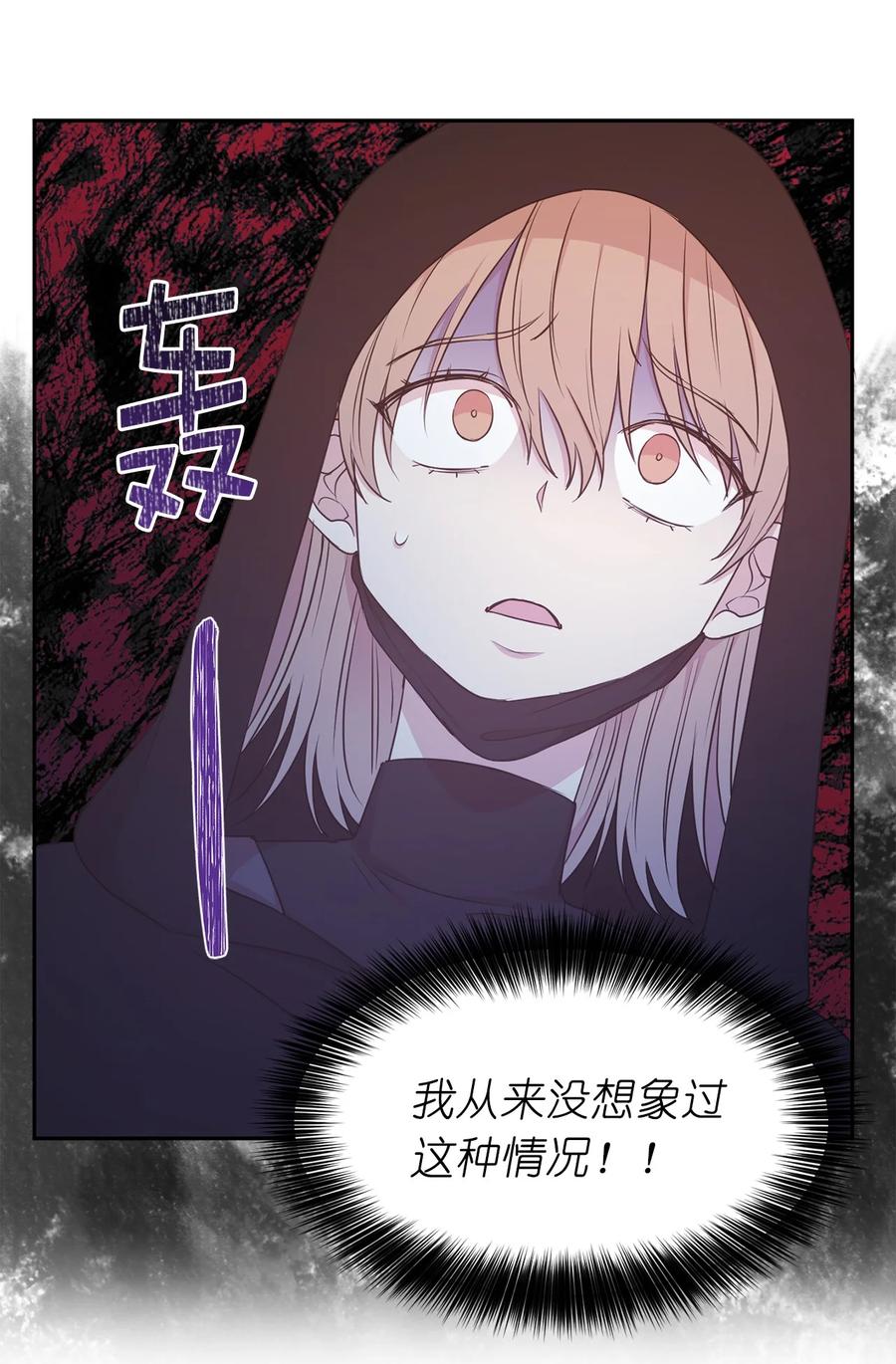 《娶个公爵当皇后》103 这不是我写的小说！ 第11页