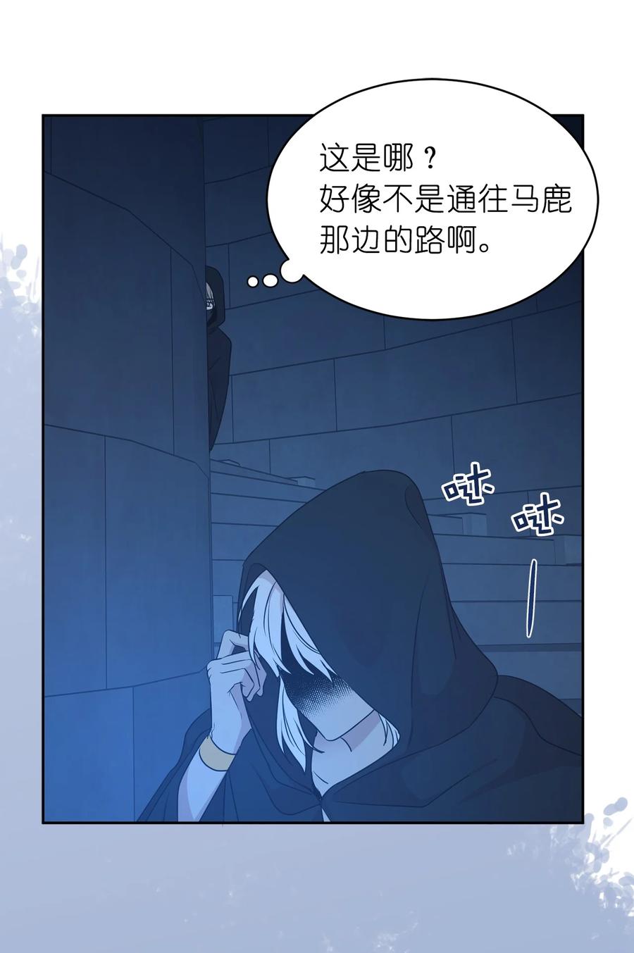 《娶个公爵当皇后》102 奴隶帕戈被蹂躏？ 第47页