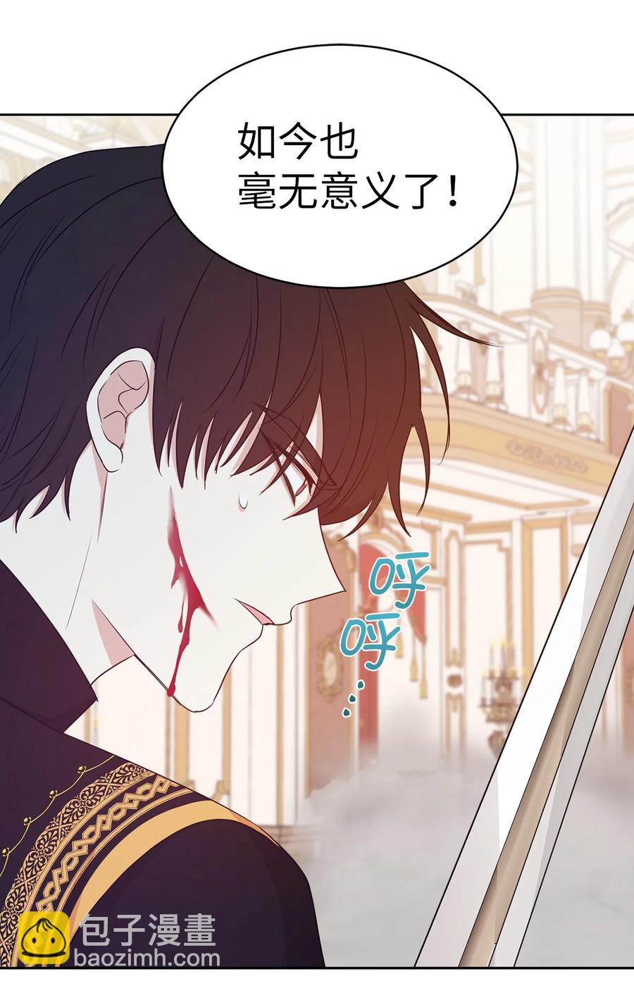 《娶个公爵当皇后》111 运筹帷幄的机械师 第3页