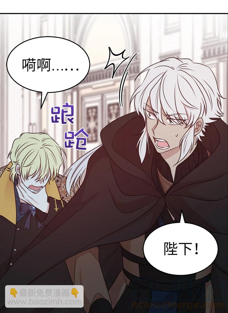 《娶个公爵当皇后》111 运筹帷幄的机械师 第40页