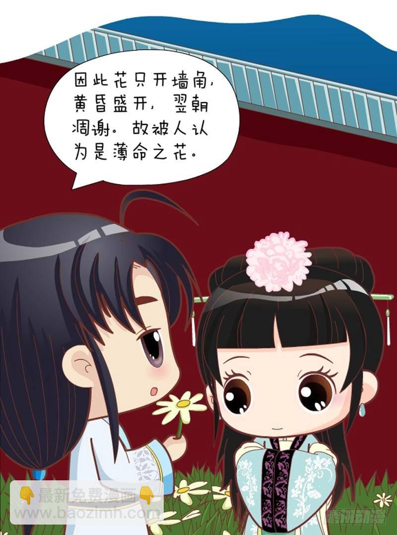 《甄嬛传Q版》第32集（上） 第17页