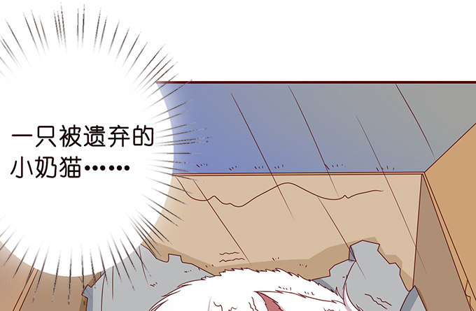 《爱的三分线》雨中的冲突 第24页