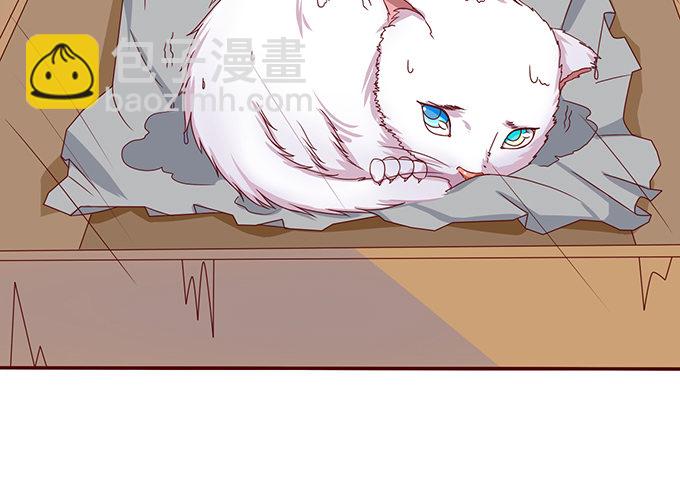 《爱的三分线》雨中的冲突 第25页