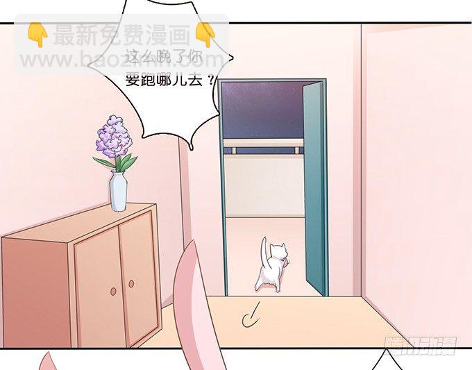 《爱的三分线》旅行的机会 第43页