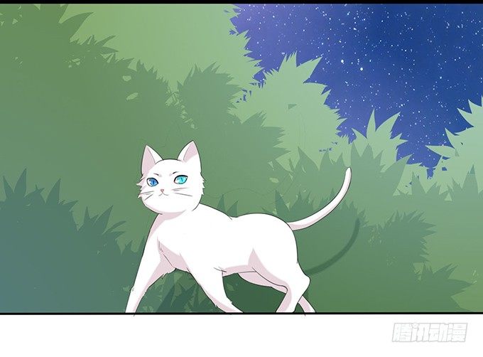 《爱的三分线》猫儿的名字 第15页