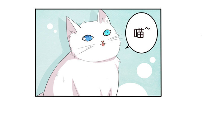 《爱的三分线》猫儿的名字 第18页